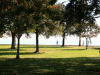 Beautiful North Shore Park