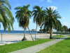 Meet near the sidewalk by the tennis courts!